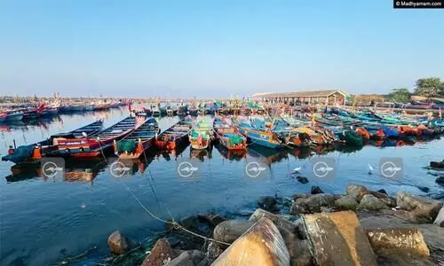 Fishing Boats