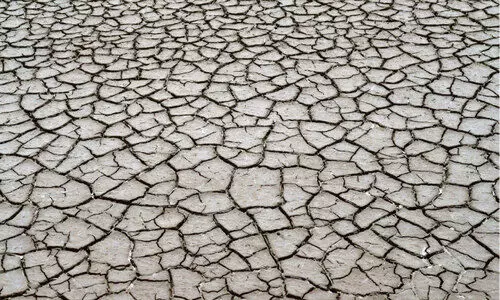 കക്കാട്ടാറ്​ വറ്റിവരണ്ടു