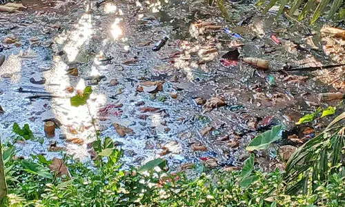 പാറപ്പുറത്ത് താഴത്ത് സാമൂഹിക വിരുദ്ധ ശല്യം