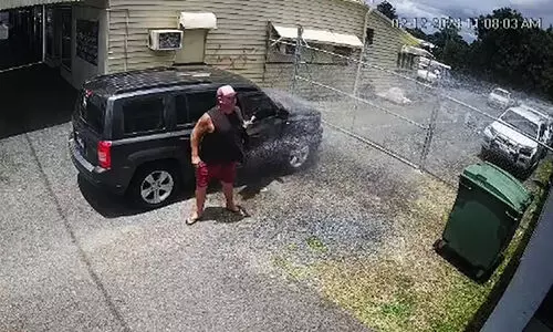 Unauthorised Parking-Springler Technic