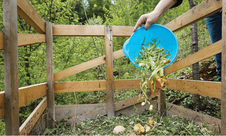 കിണറും സെപ്റ്റിക് ടാങ്കും തമ്മിൽ എത്ര അകലം വേണം? -വീട്ടിലെ മാലിന്യ സംസ്കരണത്തെ കുറിച്ച് അറിയേണ്ട കാര്യങ്ങളിതാ...