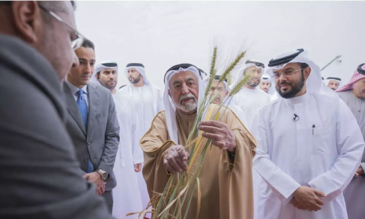 മ​ലീ​ഹ​യി​ൽ മൂ​ന്നാ​മ​ത്​ ഗോ​ത​മ്പ്​ വി​ള​വെടു​പ്പി​ന്​ തു​ട​ക്കം
