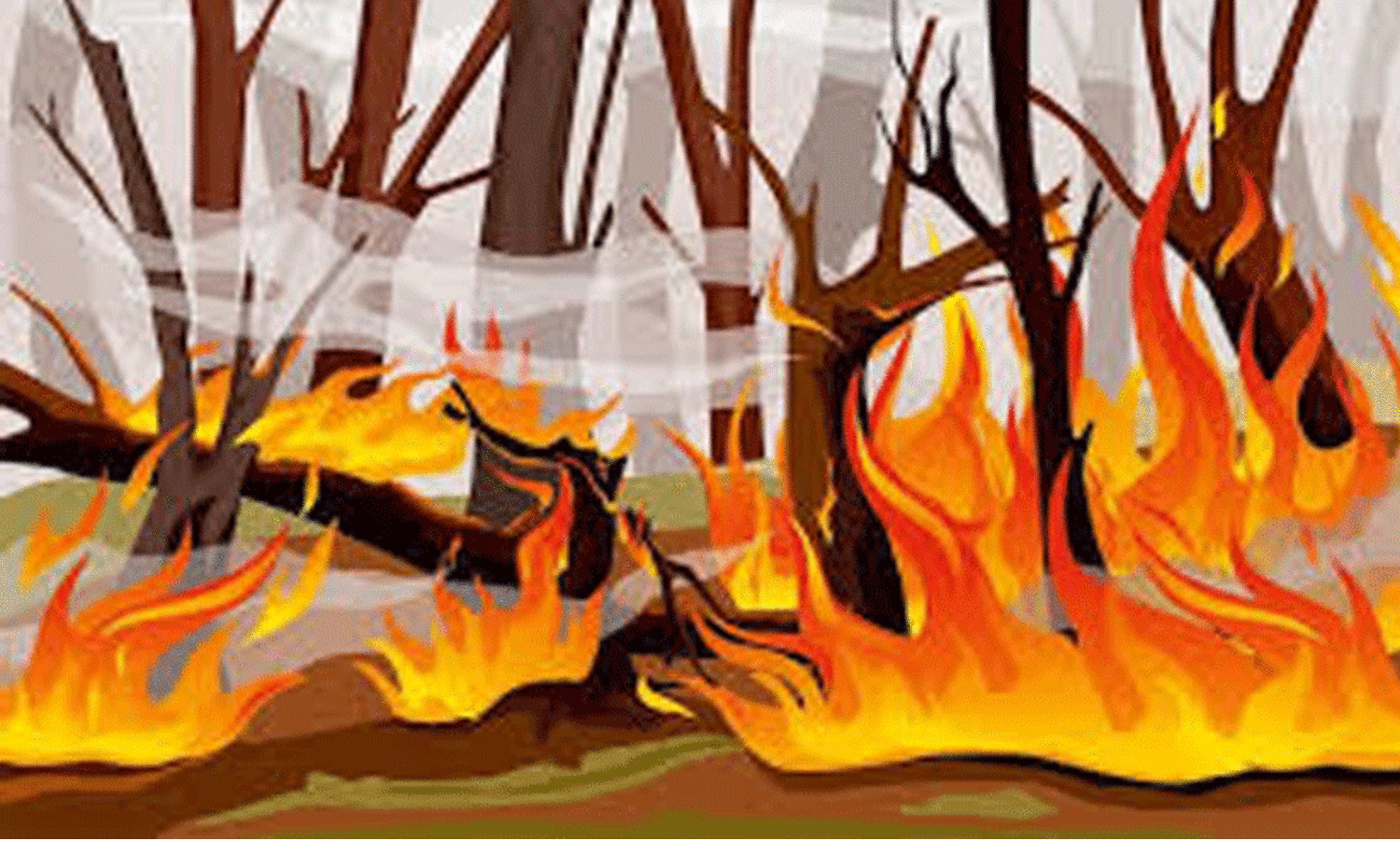 നഗരത്തില്‍ മൂന്നിടത്ത്​ തീപിടിത്തം