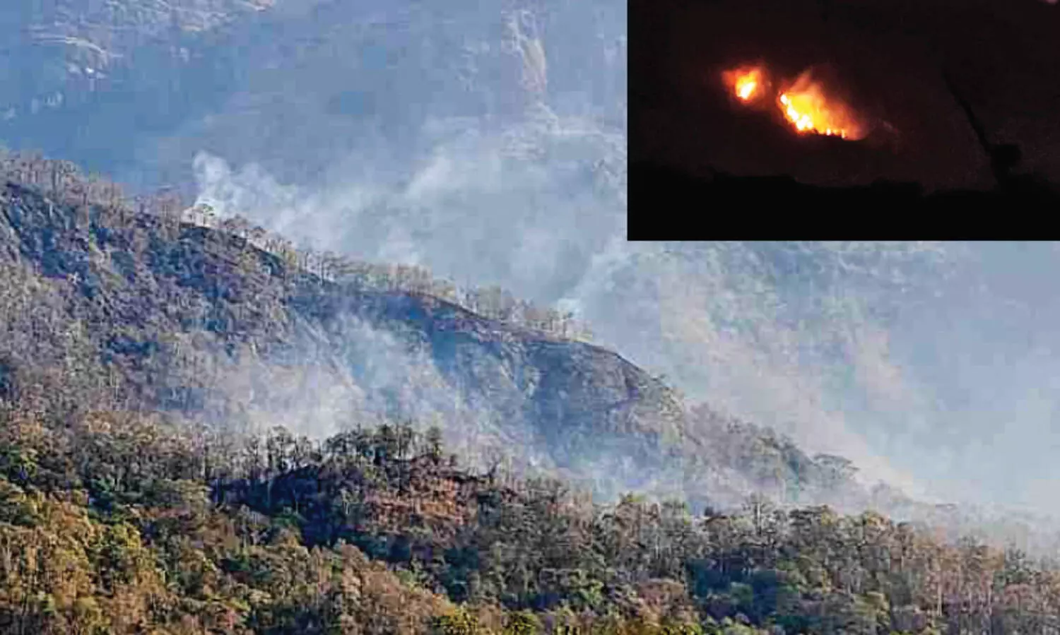 രാ​ത്രി​യി​ലും നെല്ലിയാമ്പതിയിൽ തീ ​അ​ണ​ക്കാ​ൻ നെ​ട്ടോ​ട്ട​മോ​ടി വ​നം വ​കു​പ്പ്