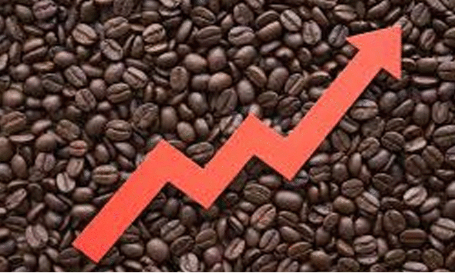 കടുപ്പം, കാപ്പിപ്പൊടി വില......