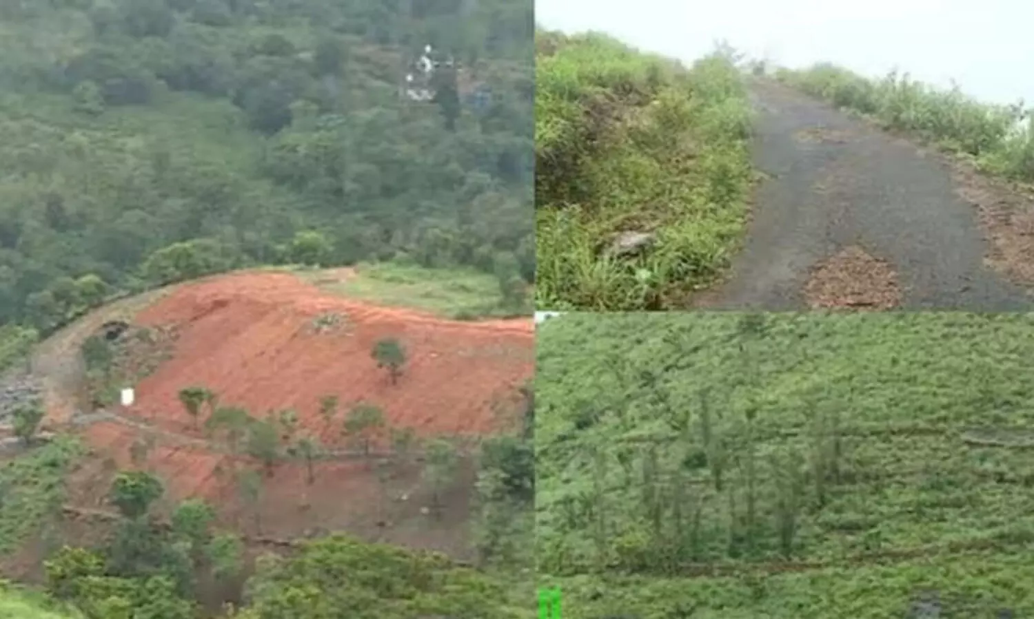 പരുന്തുംപാറയിൽ നടന്നത് മൂന്നാറിനേക്കാൾ വലിയ ഭൂമി കൈയേറ്റമെന്ന് റിപ്പോർട്ട്