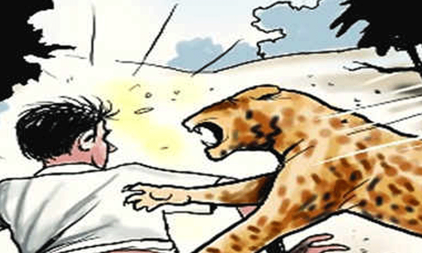 വന്യജീവി ആക്രമണം; ഹോട്ട്സ്പോട്ടുകൾ കേന്ദ്രീകരിച്ച് പ്രവർത്തനം