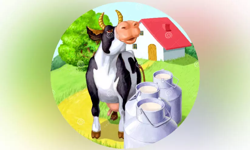 പാൽ കുറഞ്ഞു; ക്ഷീരമേഖല പ്രതിസന്ധിയിൽ