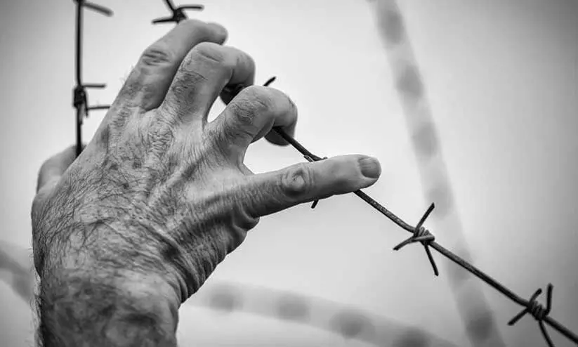 representative image representative image