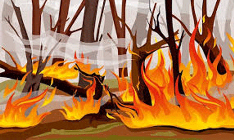 നഗരത്തില്‍ മൂന്നിടത്ത്​ തീപിടിത്തം