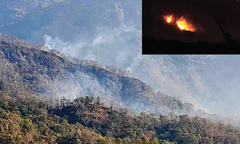 രാ​ത്രി​യി​ലും നെല്ലിയാമ്പതിയിൽ തീ ​അ​ണ​ക്കാ​ൻ നെ​ട്ടോ​ട്ട​മോ​ടി വ​നം വ​കു​പ്പ്
