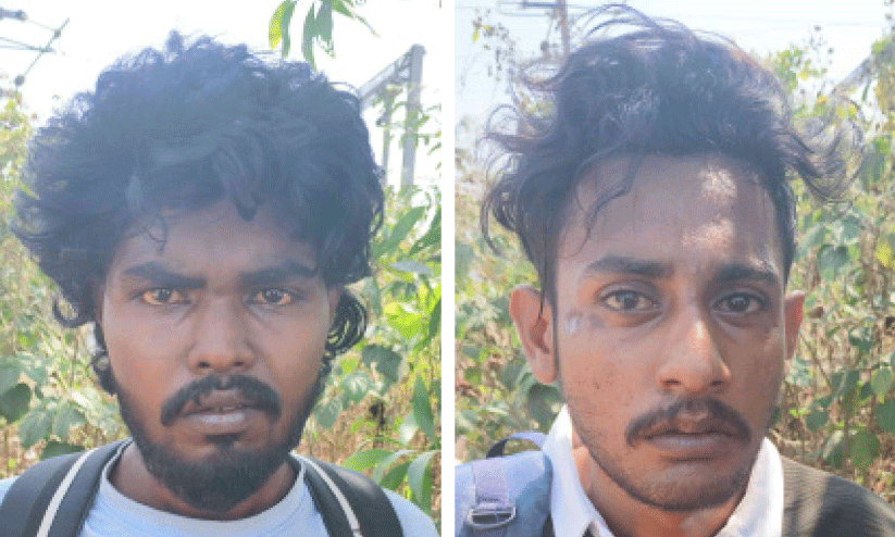 കഞ്ചാവും എം.ഡി.എം.എയുമായി രണ്ടു യുവാക്കൾ പിടിയിൽ കഞ്ചാവും എം.ഡി.എം.എയുമായി രണ്ടു യുവാക്കൾ പിടിയിൽ