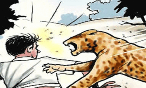 വന്യജീവി ആക്രമണം; ഹോട്ട്സ്പോട്ടുകൾ കേന്ദ്രീകരിച്ച് പ്രവർത്തനം