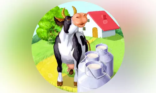 പാൽ കുറഞ്ഞു; ക്ഷീരമേഖല പ്രതിസന്ധിയിൽ