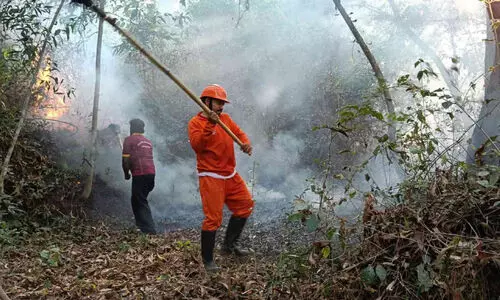 പെ​രി​ങ്ങൊ​ളം അ​രി​യോ​റ മ​ല​യി​ൽ അ​ടി​ക്കാ​ടി​ന് തീ​പി​ടി​ച്ചു