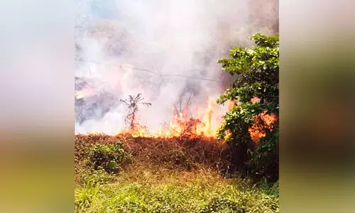റാന്നി വലിയകലുങ്കിന് സമീപം വന്‍ തീപിടിത്തം