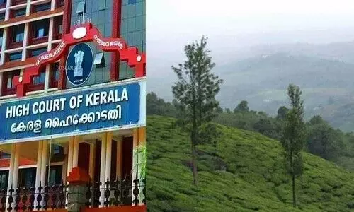 പുനരധിവാസത്തിന് എസ്റ്റേറ്റ് ഭൂമി: നഷ്ടപരിഹാരമായി പണം നൽകണമെന്ന വാദത്തിൽ ഡിവിഷൻ ബെഞ്ചിന് സംശയം