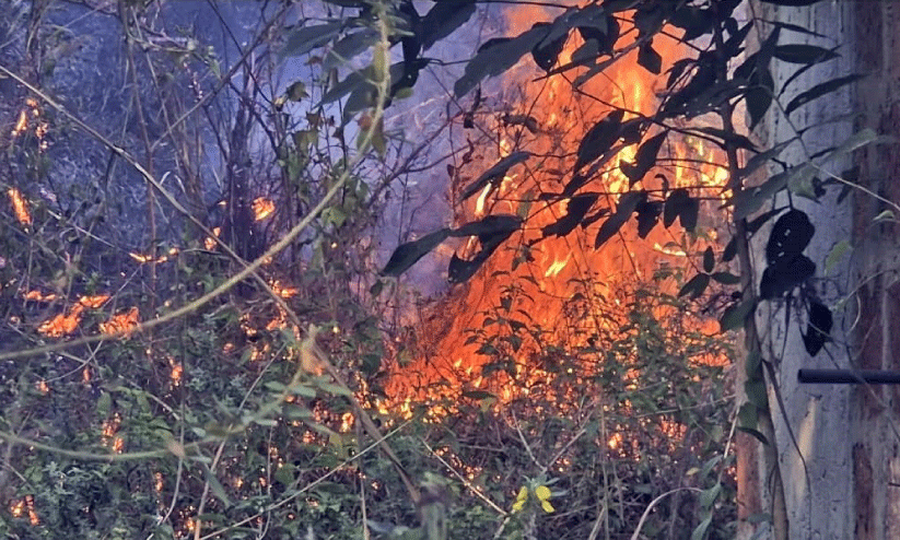 വേനൽ കനത്തു; ജനവാസ കേന്ദ്രങ്ങൾ തീപിടിത്ത ഭീഷണിയിൽ