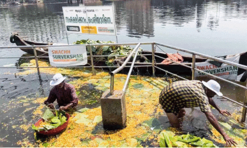 ശി​വ​രാ​ത്രി ബ​ലി​ത​ർ​പ്പ​ണം; പെരിയാറിൽ നിന്നു നീക്കിയത് ഒന്നര ടൺ മാലിന്യം