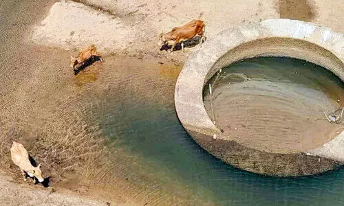 വേനൽ കത്തുന്നു; കുടിവെള്ളം കിട്ടാക്കനി