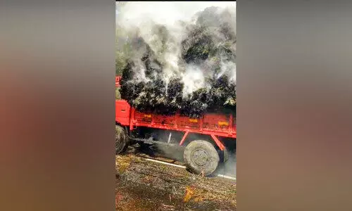 വൈ​ദ്യു​തി ലൈ​നി​ൽ ത​ട്ടി വൈ​ക്കോ​ൽ ലോ​റി​ക്ക് തീ​പി​ടി​ച്ചു