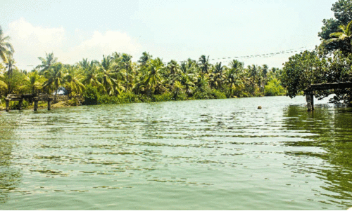 വെള്ളപ്പൊക്കത്തിൽ പാലം തകർന്നിട്ട് 30 വർഷം; ഏക ആശ്രയം കടത്തുവഞ്ചി; കൊന്നയിൽകടവ് പാലത്തിന് 41 കോടിയുടെ അനുമതി വെള്ളപ്പൊക്കത്തിൽ പാലം തകർന്നിട്ട് 30 വർഷം; ഏക ആശ്രയം കടത്തുവഞ്ചി; കൊന്നയിൽകടവ് പാലത്തിന് 41 കോടിയുടെ അനുമതി