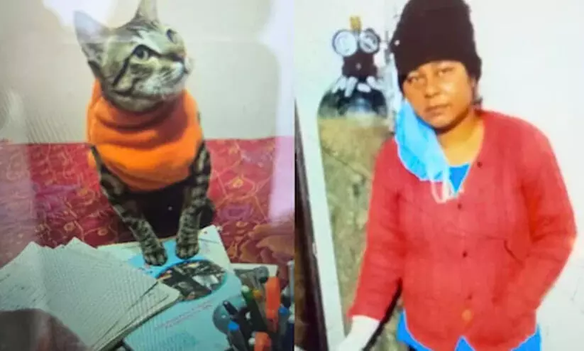 അരുമയായ പൂച്ച ചത്തു, ജഡം കെട്ടിപ്പിടിച്ച് രണ്ട് ദിവസം; മൂന്നാംനാൾ യുവതി ആത്മഹത്യ ചെയ്തു