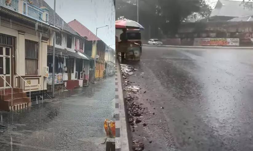 rain 98987987 rain 98987987