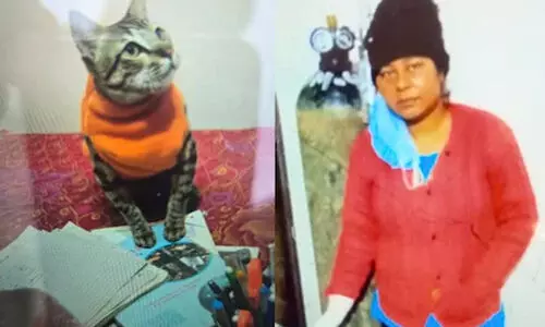 അരുമയായ പൂച്ച ചത്തു, ജഡം കെട്ടിപ്പിടിച്ച് രണ്ട് ദിവസം; മൂന്നാംനാൾ യുവതി ആത്മഹത്യ ചെയ്തു