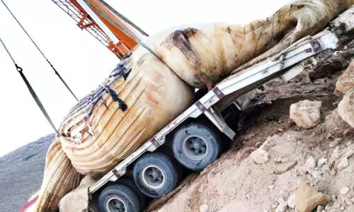 സോ​ഖ്‌​റ ബീ​ച്ചി​ൽ ച​ത്ത​ടി​ഞ്ഞ തി​മിം​ഗ​ല​ത്തെ നീ​ക്കംചെ​യ്തു