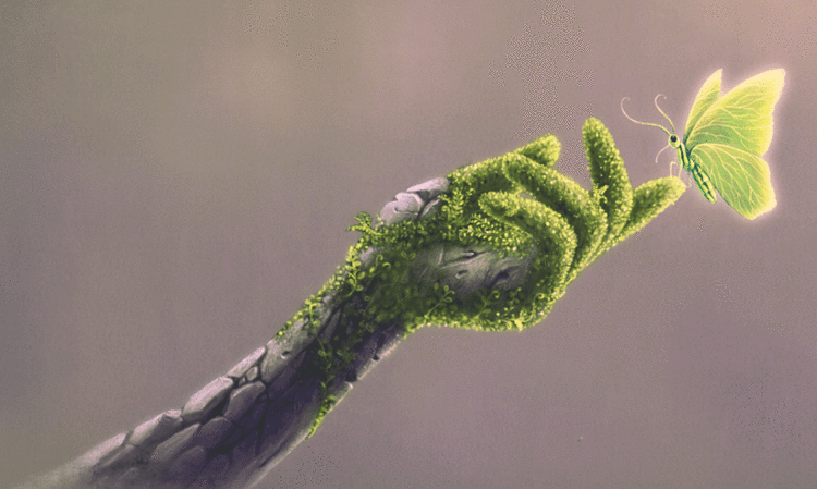 യുദ്ധങ്ങളും കഠിന രോഗങ്ങളും ഇല്ലാത്ത ലോകം സാധ‍്യമാണോ?... സാധ‍്യമെന്ന് കുഞ്ഞുങ്ങൾ പഠിപ്പിച്ചു തരുന്നു, ഈ ഉദാഹരണത്തിലൂടെ