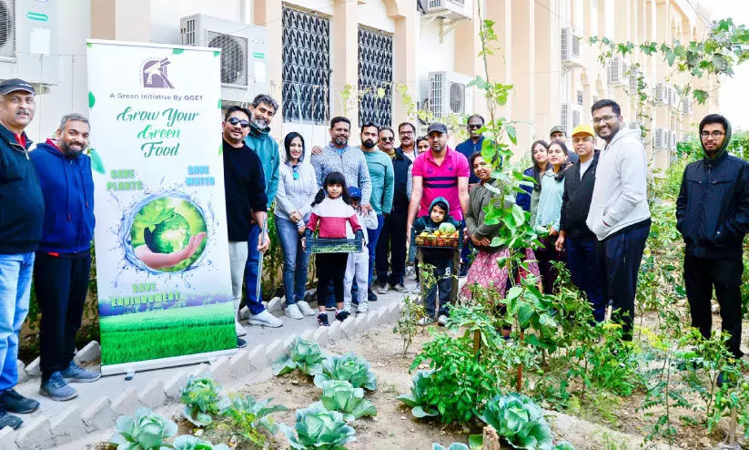 മ​രു​ഭൂ​മി​യെ തോ​ട്ട​മാ​ക്കി ക്യു ​ഗെ​റ്റ്; കു​ട്ട​നി​റ​യെ പ​ച്ച​ക്ക​റി വി​ള​വെ​ടു​പ്പ്