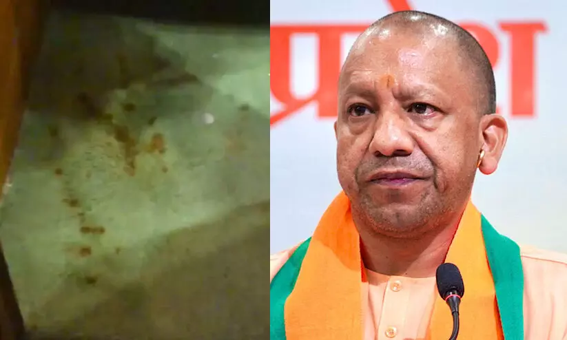 up assembly up assembly