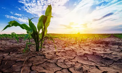 കൊടും ചൂട് തന്നെ; താപനില മൂന്ന് ഡിഗ്രി വരെ ഉയരാമെന്ന് മുന്നറിയിപ്പ്