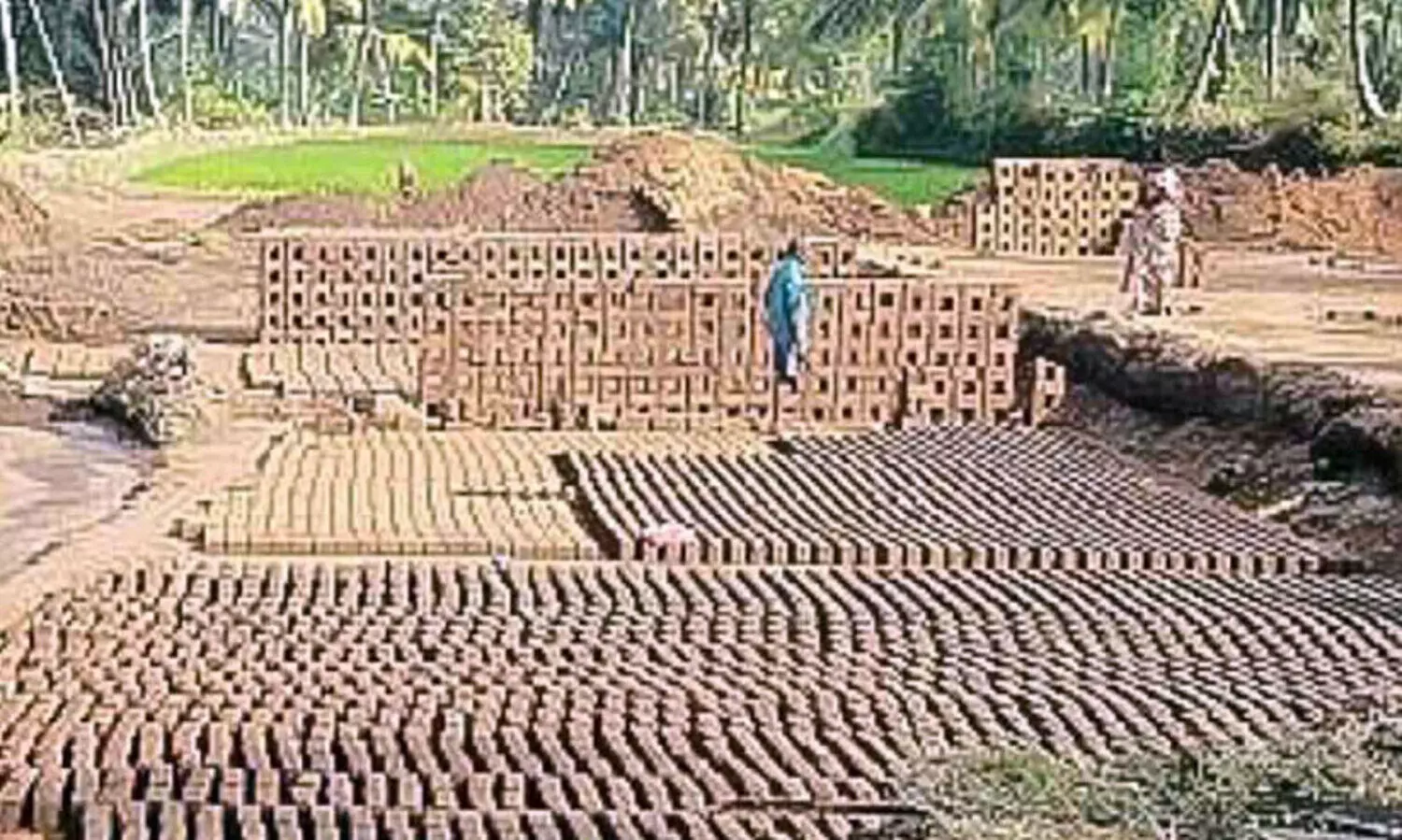 അനധികൃത ഇഷ്ടിക കളങ്ങൾ വീണ്ടും സജീവം