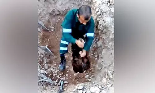 മീ​സാ​ൻ ക​ല്ലു​ക​ൾ ഇ​നി ക​ഥ പ​റ​യും; മൂ​സ​ക്ക നാ​ട​ണ​യു​ന്നു