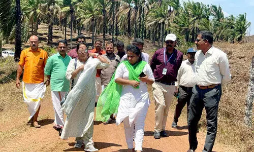 ഓയിൽ പാം തോട്ടത്തിലെ തീപിടിത്തം; കമ്പനി അധികൃതരുടെ അലംഭാവം കാരണമെന്ന് ബോർഡ് അംഗം