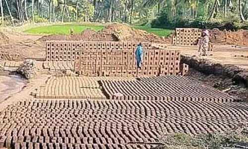 അനധികൃത ഇഷ്ടിക കളങ്ങൾ വീണ്ടും സജീവം