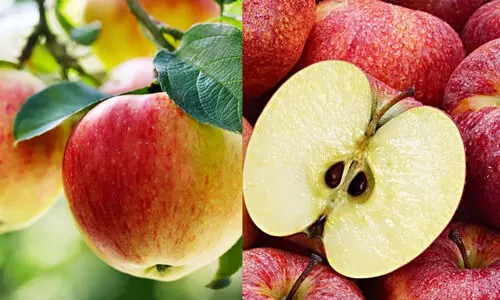 ദിവസവും ഒരു ആപ്പിൾ കഴിച്ചാൽ ശരീരത്തിന് സംഭവിക്കുന്നത്...