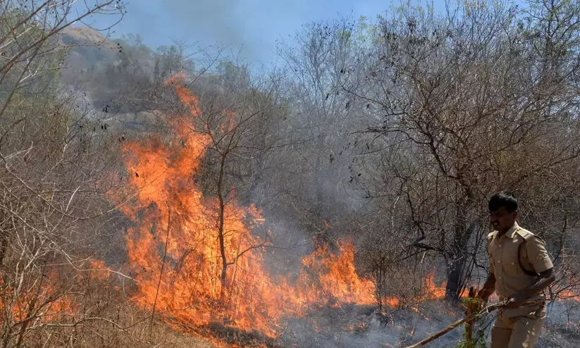 വരള്‍ച്ചാ ലഘൂകരണ-കാട്ടുതീ മുന്നൊരുക്കത്തിന് പദ്ധതികൾ