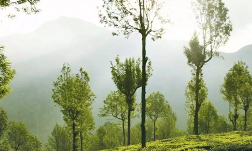 ജന്മം ഭൂമി കേസ്; തമിഴ്നാട് സർക്കാർ സുപ്രീം കോടതിയിൽ വാദിക്കും ജന്മം ഭൂമി കേസ്; തമിഴ്നാട് സർക്കാർ സുപ്രീം കോടതിയിൽ വാദിക്കും