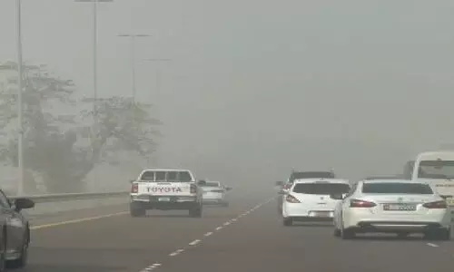 ദു​ബൈ​യി​ലും അ​ബൂ​ദ​ബി​യി​ലും പൊ​ടി​ക്കാ​റ്റ്