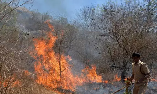 വരള്‍ച്ചാ ലഘൂകരണ-കാട്ടുതീ മുന്നൊരുക്കത്തിന് പദ്ധതികൾ