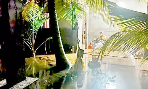 തിരിഞ്ഞുനോക്കാതെ അധികൃതർ; മൺട്രോതുരുത്തിൽ ദുരിതക്കയറ്റം തിരിഞ്ഞുനോക്കാതെ അധികൃതർ; മൺട്രോതുരുത്തിൽ ദുരിതക്കയറ്റം