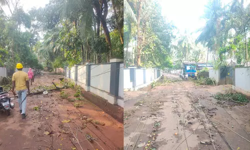 വേനൽ മഴ: പുളിക്കൽ മേഖലയിൽ കെ.എസ്.ഇ.ബിക്ക് വ്യാപക നാശനഷ്ടം