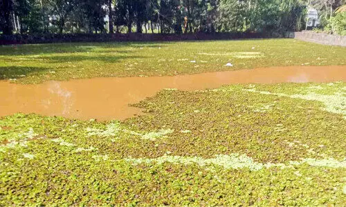 മാലിന്യവും പായലും നിറഞ്ഞ്​ ഇരുമ്പാക്കുളം
