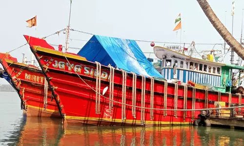 അനധികൃത മ​ത്സ്യ​ബ​ന്ധ​നം; ക​ർ​ണാ​ട​ക ബോ​ട്ടു​ക​ൾ പി​ടി​യി​ൽ