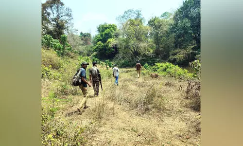 ആറളം ഫാം മേഖലയിൽ വ്യാപക പരിശോധന