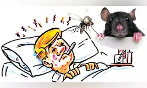 തൃ​ശൂ​ർ ജി​ല്ല​യി​ല്‍ മ​ലേ​റി​യ​യും മു​ണ്ടി​നീ​രും വ്യാ​പി​ക്കു​ന്നു