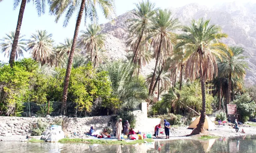 സഞ്ചാരികളുടെ മനംകവർന്ന് തെക്കൻ ബാത്തിന സഞ്ചാരികളുടെ മനംകവർന്ന് തെക്കൻ ബാത്തിന